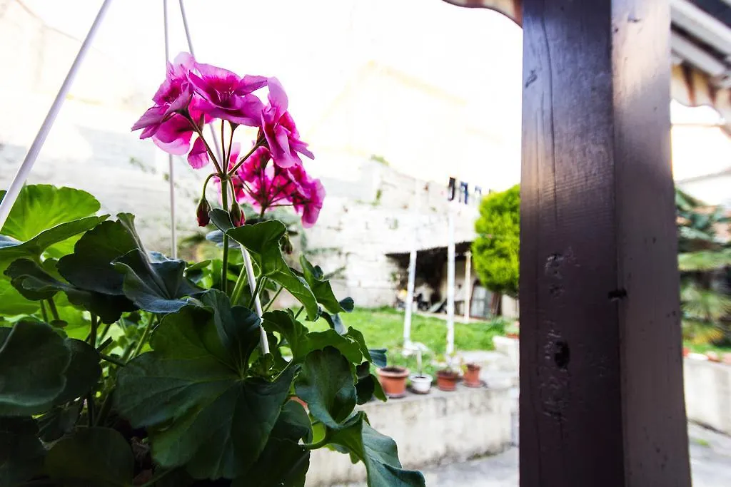 Guesthouse Natalija-1